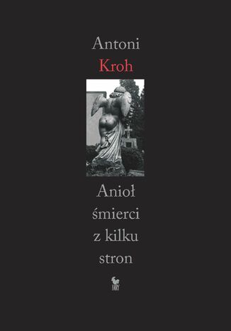 Anio mierci z kilku stron Antoni Kroh - okadka ebooka
