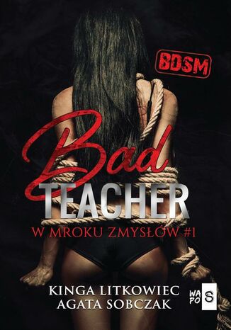 Bad Teacher. W mroku zmysw Kinga Litkowiec, Agata Sobczak - okadka ebooka