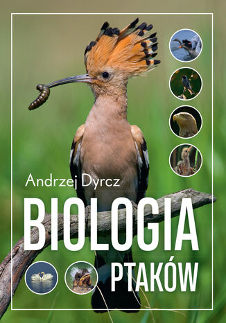 Biologia ptaków Andrzej Dyrcz - okładka audiobooka MP3