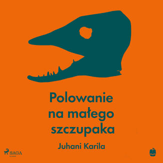 Polowanie na maego szczupaka Juhani Karila - okadka audiobooka MP3