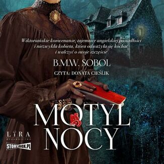 Motyl Nocy B.M.W. Sobol - okadka audiobooka MP3