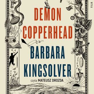 Demon Copperhead Barbara Kingsolver - okładka audiobooka MP3