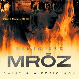Okładka: Światła w popiołach. Cykl z Sewerynem Zaorskim. Tom 5