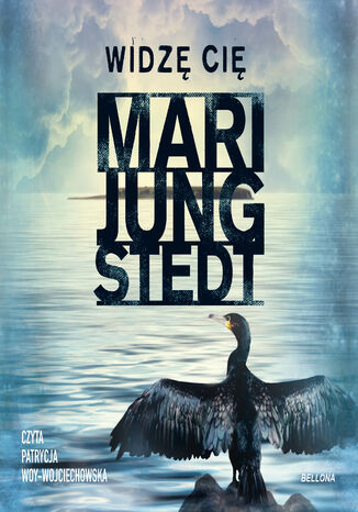 Widzę cię Mari Jungstedt - okładka audiobooks CD