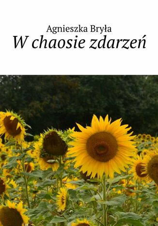 Wchaosie zdarze Agnieszka Brya - okadka audiobooks CD