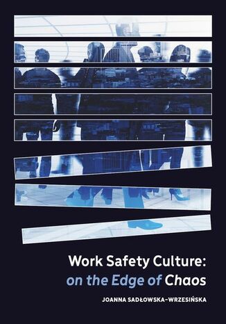 Work Safety Culture: on the Edge of Chaos Joanna Sadłowska-Wrzesińska - okładka książki