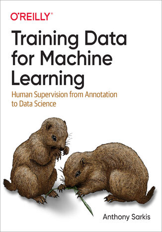 Training Data for Machine Learning Anthony Sarkis - okadka ebooka