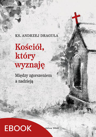 Koci, ktry wyznaj. Midzy zgorszeniem a nadziej ks. Andrzej Dragua - okadka audiobooks CD