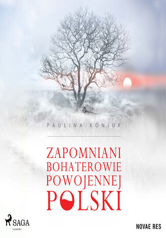 Zapomniani bohaterowie powojennej Polski Paulina Koniuk - okadka ebooka