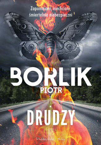 Drudzy Piotr Borlik - okadka ebooka