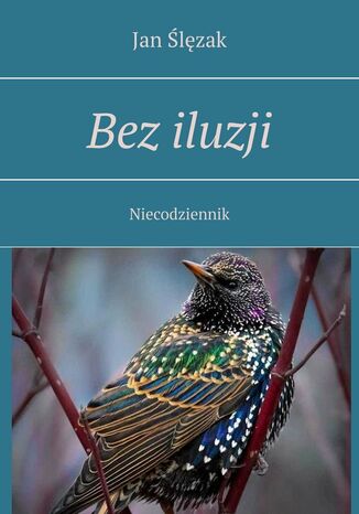 Bez iluzji