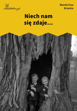 Niech nam się zdaje