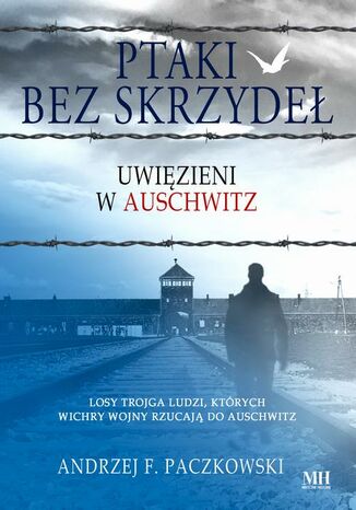 Ptaki bez skrzyde Andrzej F. Paczkowski - okadka audiobooks CD