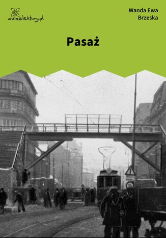 Pasa Wanda Ewa Brzeska - okadka audiobooks CD