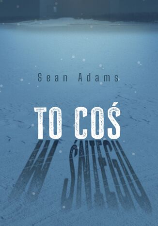 To co w niegu Sean Adams - okadka audiobooks CD