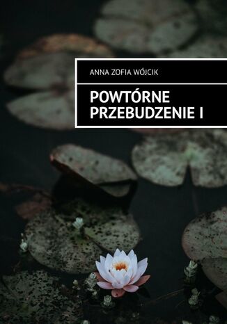 Powtrne Przebudzenie. Cz 1 Anna Zofia Wjcik - okadka audiobooks CD