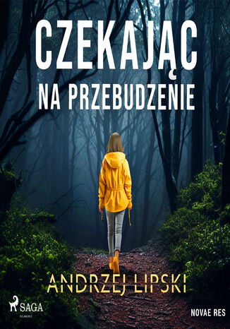 Czekajc na przebudzenie Andrzej Lipski - okadka ebooka