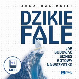 Dzikie fale Jonathan Brill - okadka audiobooka MP3