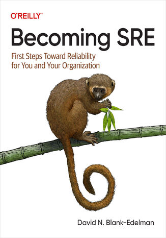 Becoming SRE. First Steps Toward Reliability for You and Your Organization David N. Blank-Edelman - okadka ebooka
