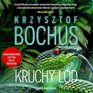 Kruchy ld Krzysztof Bochus - okadka audiobooka MP3