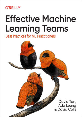 Effective Machine Learning Teams David Tan, Ada Leung, David Colls - okadka audiobooks CD