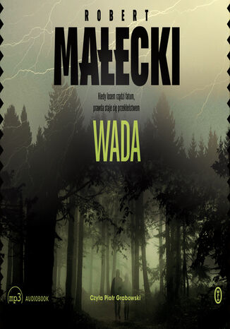 Wada Robert Maecki - okadka audiobooks CD