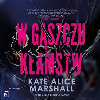 W gszczu kamstw Kate Alice Marshall - okadka audiobooka MP3