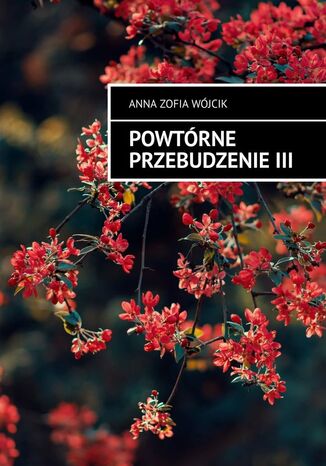 Powtórne przebudzenie 3