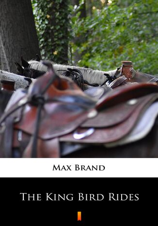 The King Bird Rides Max Brand - okadka ebooka