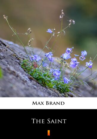 The Saint Max Brand - okadka ebooka
