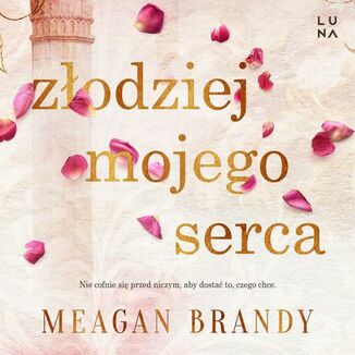 Zodziej mojego serca Meagan Brandy - okadka audiobooka MP3