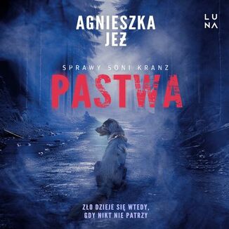 Pastwa Agnieszka Je - okadka audiobooka MP3