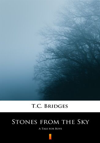 Stones from the Sky. A Tale for Boys T.C. Bridges - okadka ebooka