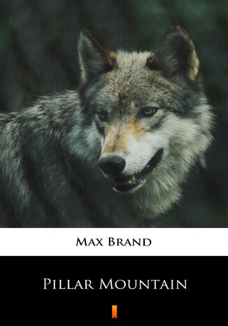 Pillar Mountain Max Brand - okadka audiobooks CD