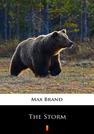 The Storm Max Brand - okadka ebooka