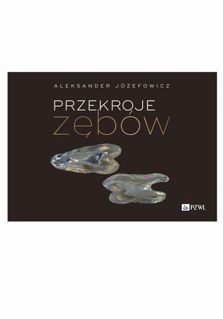 Przekroje zębów