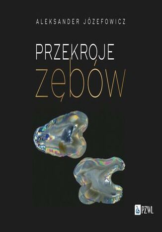 Przekroje zbw Aleksander Jzefowicz - okadka audiobooks CD