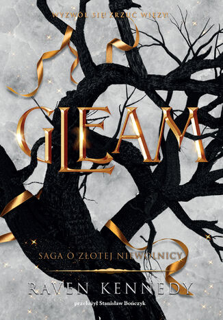 Gleam Raven Kennedy - okadka audiobooks CD