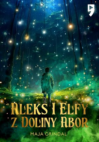 Okładka:Aleks i elfy z doliny Abor 