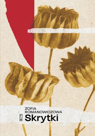 Skrytki Zofia Romanowiczowa - okadka audiobooka MP3