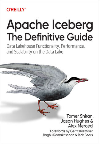 Apache Iceberg: The Definitive Guide Tomer Shiran, Jason Hughes, Alex Merced - okadka ebooka