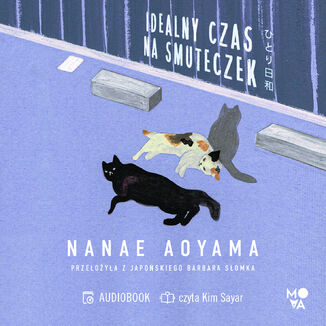 Idealny czas na smuteczek Nanae Aoyama - okadka audiobooka MP3