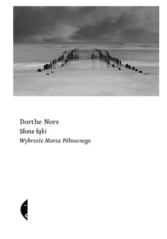 Sone ki. Wybrzee Morza Pnocnego Dorthe Nors - okadka audiobooks CD