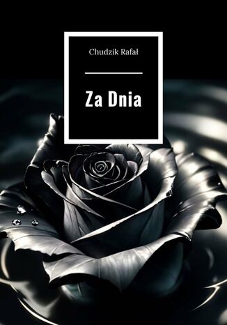 ZaDnia Chudzik Rafa - okadka audiobooks CD