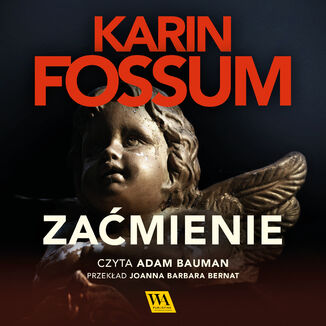 Zamienie Karin Fossum - okadka audiobooka MP3