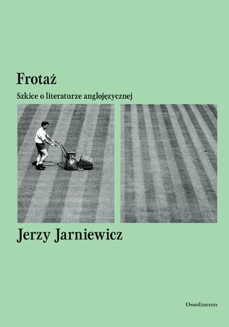 Frota. Szkice o literaturze anglojzycznej Jerzy Jarniewicz - okadka ebooka