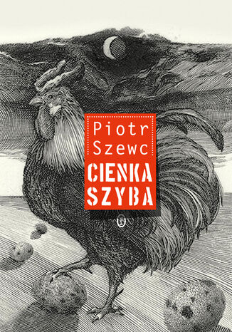 Cienka szyba Piotr Szewc - okadka audiobooks CD
