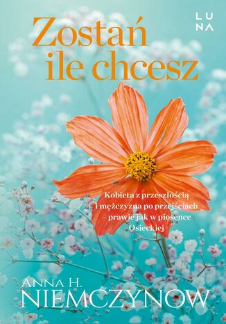 Zosta, ile chcesz Anna H. Niemczynow - okadka ebooka