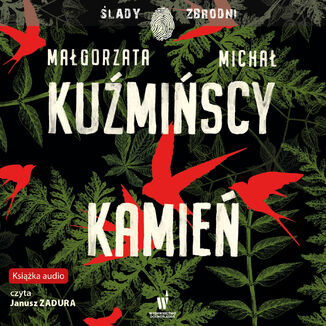 Etnokryminał (Tom 3). Kamień