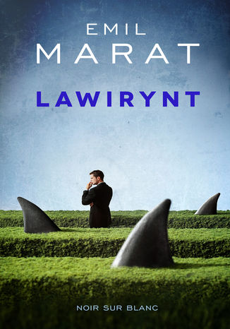 Lawirynt Emil Marat - okadka audiobooka MP3